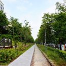 경춘선숲길 이미지