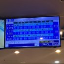 NR-17[완주로]-상-170 | 소박 두 번째 마라톤 후기 ,, 🏃🏻‍♀️💨