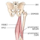 가디언 오브 갤럭시 PT 이미지
