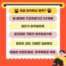 평택애견미용학원 이미지