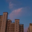 피어랑의원 | [광주]광산구 수완지구 겨드랑이 레이저 제모 피부과