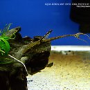 코리아농장 이미지