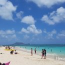 와이키키 이미지