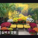 양지요양원 | [창원 요양원/추천/후기/가격] 양지실버요양원 자연 속 편안한 돌봄 환경