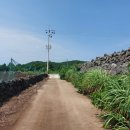 시흥리-6 이미지