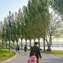 반포아이마음의원 | 반포한강공원 아이와 봄나들이 | 주말 저녁 주차, 무지개분수, 피크닉 후기