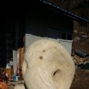 천시원교육농장 이미지