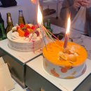 삼산꽃농원 | 밀리지마 내 일상 (내생일주간 돼지파티)