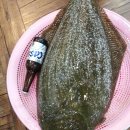 바다사랑추억