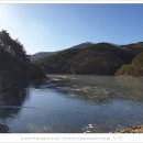 월정포인트 이미지