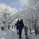 한라산백록담 이미지