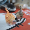 코스티(COSTI) 이미지