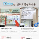 개와냥이동물병원 이미지