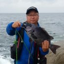 바다낚시 - 영덕군 축산항길 21 | 바다낚시