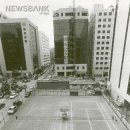 땅김의원 이미지