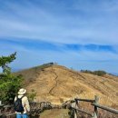 바둑이마을 | 은빛 억새 축제, 제일 쉬운 등산 코스 실시간 상세 후기, 주차장 정보, 정상 능선길과 돌리네, 11월 가...