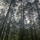 참사랑주유소 이미지