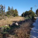 김앤김공인중개사사무소 이미지