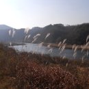 월운마을회관 이미지