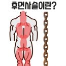 에이스스포츠센터 이미지