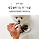 춤추는 도기넛 | [강아지 자연식] 균형잡힌 주식으로, 영양가득 간식으로, 춤추는도기넛 도기넛칩