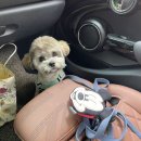 신영재동물병원 이미지