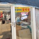 부광 족발 이미지