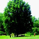 대자연가든 이미지