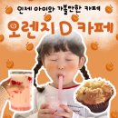 디카페 | 인제 아이와 가볼 만한 카페 오렌지디카페 솔직 후기