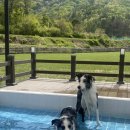 찰리팜하우스 이미지