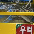 재영수산 - 송파구 양재대로 932 | 재영수산