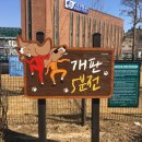 강아지놀이터 이미지