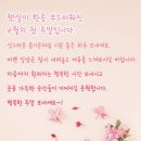 닭방 Daum카페