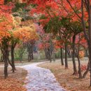 설마리 전투공원 이미지