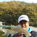 덕성낚시터 이미지