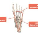 팬덤핏 마린시티점 이미지