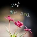 진정세탁소 이미지