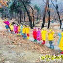 센트럴유치원 이미지