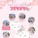 두 번째 벚꽃 이미지