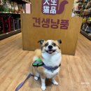 견생냥품 무인24시 송파문정동점 | 송파 문정동 반려동물용품 견생냥품 24시무인펫샵 10% 할인 방법