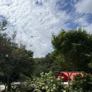 솔솔리조트 2호점 이미지