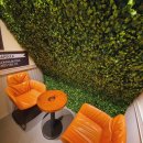 구월로데오 이미지