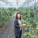 진동산마트