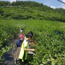 인기농장 이미지