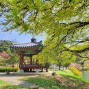 의림지-03 이미지