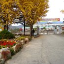 팔렬중학교 이미지