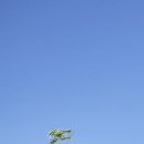 중앙비뇨기과의원 이미지