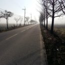 순창전통시장 터미널 이미지