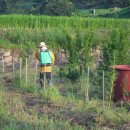 상월농장 이미지