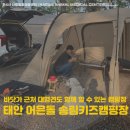 푸른동물병원 | 바닷가에서 강아지 대형견, 아이도 함께 할 수 있는 태안 어은돌송림캠핑장 후기